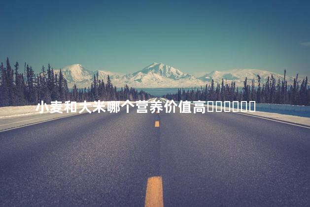 小麦和大米哪个营养价值高？